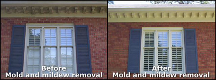 shutter-cleaning-augusta